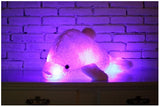 Lovely Illuminating Music Dolphin Plush Toy - 45cm 