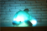 Lovely Illuminating Music Dolphin Plush Toy - 45cm 