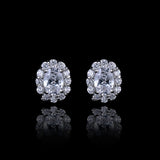 Crystal Zircon Dolphin Earrings For Women 