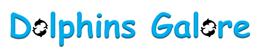 Dolphins Galore